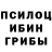 Галлюциногенные грибы Cubensis raisa fariha