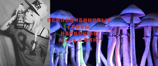 PSILOCYBIN Аркадак