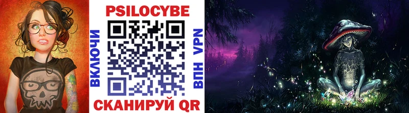 сколько стоит  Теберда  Галлюциногенные грибы Psilocybine cubensis 